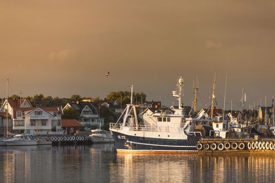 Hamn med båtar på Hönö