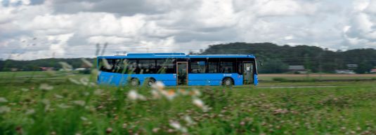 Buss i lantlig miljö